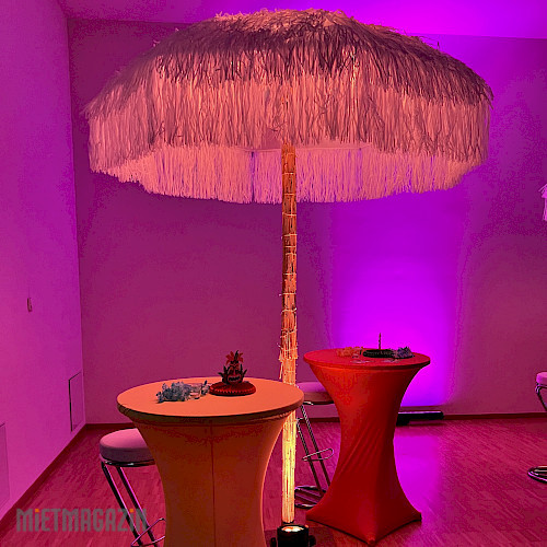 schirm_fiesta_led_akku_spot_cameo_stehtisch_basic_inkl_hussen_helios_sommerfest_05_09_2025_1.jpg