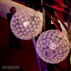 1000509_00_05_pusteblume_standdekoration-beispiel.jpg