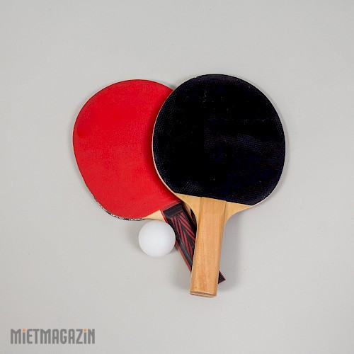1001127_00_05_tischtennisplatte.jpg