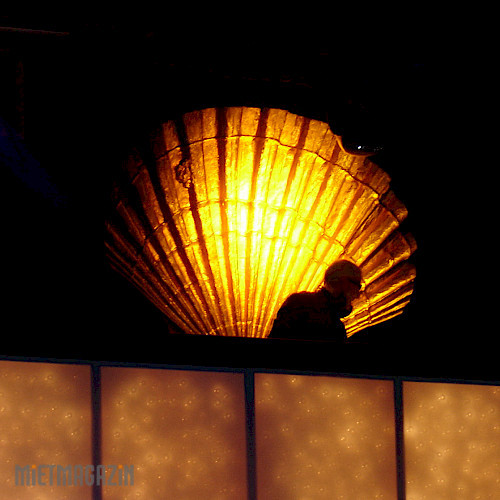 1000502_00_02_muschel-beispiel.jpg