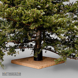 baumstaender_outdoor_2.jpg