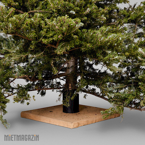 baumstaender_outdoor_2.jpg