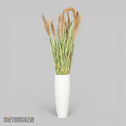 calypsogras_gracillimus_180_inkl_uebertopf_lang_1.jpg
