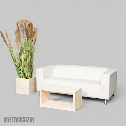 loungesofa_polaris_dekosaeule_ivory_mini_calypsogras_gracillimus_180_inkl_dekosockel_ivory_1.jpg
