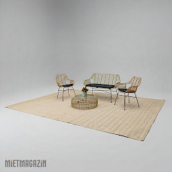 lounge_palm_1-1.jpg