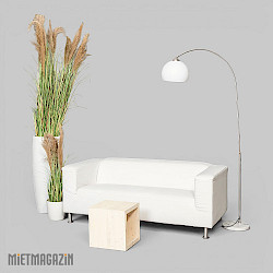 loungesofa_polaris_beistelltisch_ivory_calypsogras_gracillimus_inkl_uebertoepfe_stehlampe_luna_1.jpg